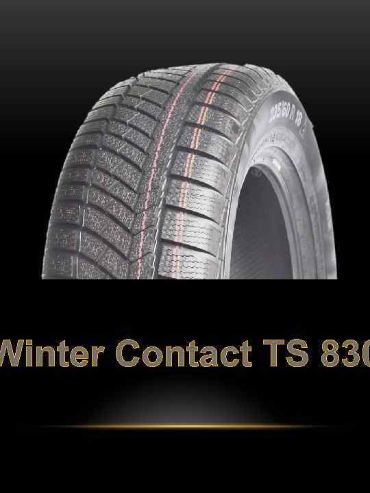 Winter Contact TS 830 