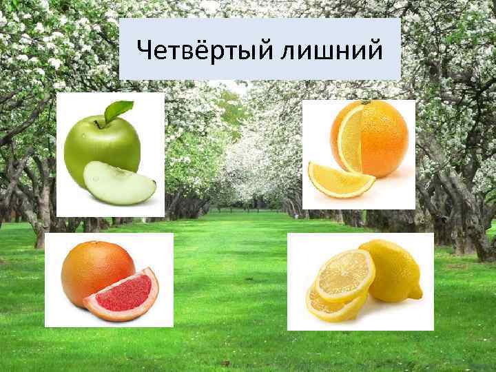 Четвёртый лишний 