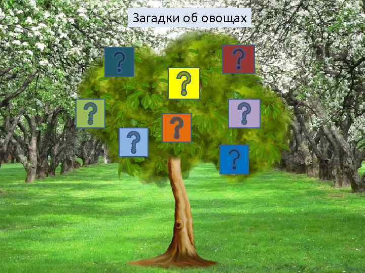 Загадки об овощах 