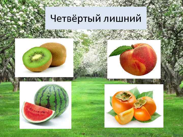 Четвёртый лишний 