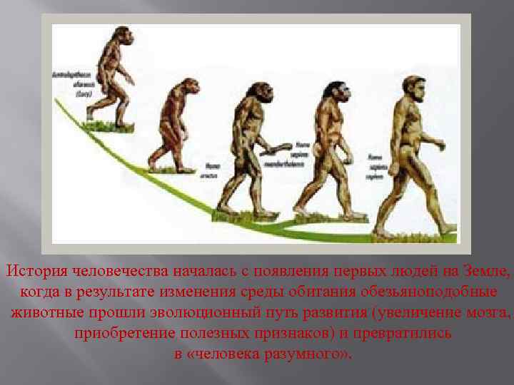 История человечества началась с появления первых людей на Земле, когда в результате изменения среды