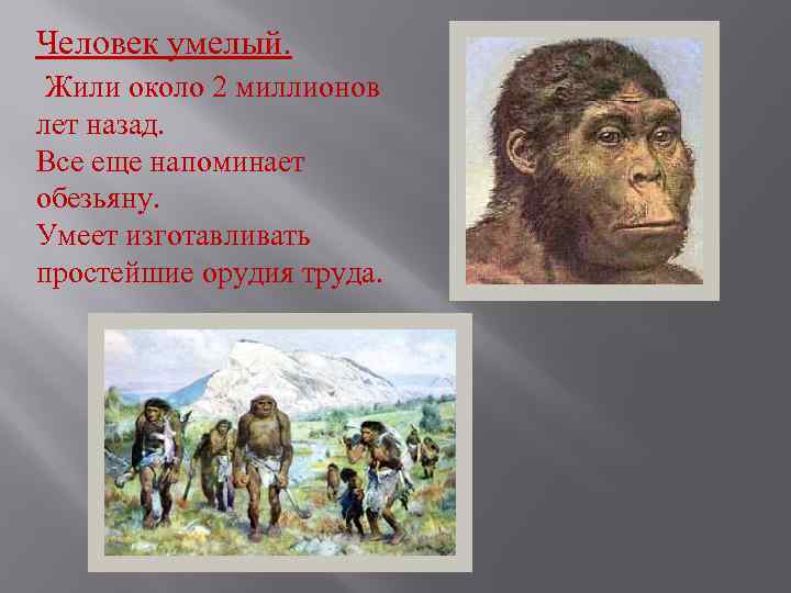 Человек умелый. Жили около 2 миллионов лет назад. Все еще напоминает обезьяну. Умеет изготавливать