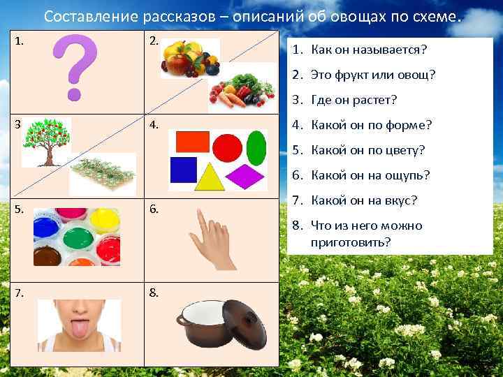 Составление рассказов – описаний об овощах по схеме. 1. 2. 1. Как он называется?