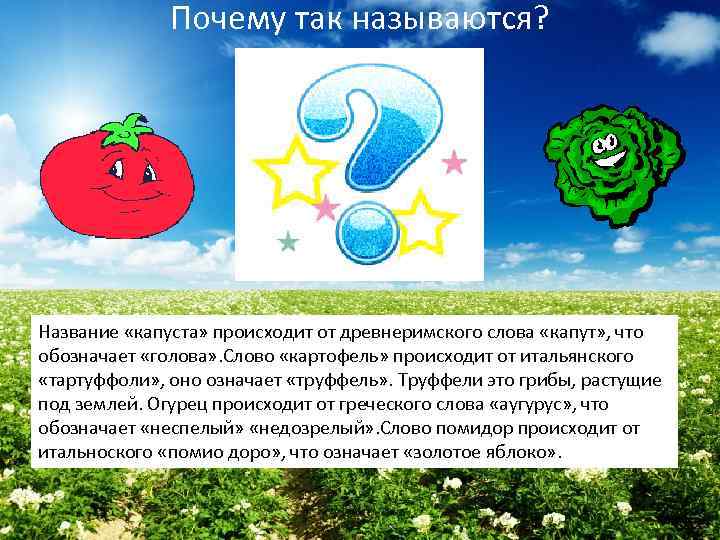 Почему так называются? Название «капуста» происходит от древнеримского слова «капут» , что обозначает «голова»