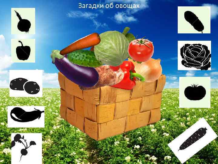 Загадки об овощах 