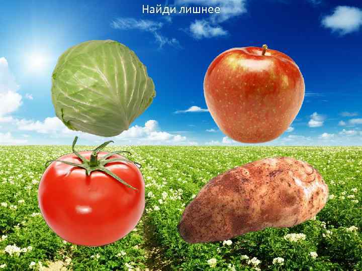 Найди лишнее 