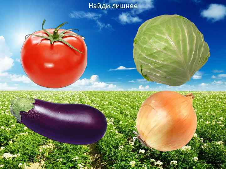 Найди лишнее 