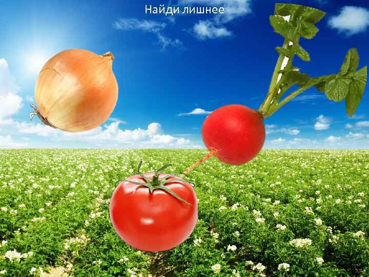 Найди лишнее 