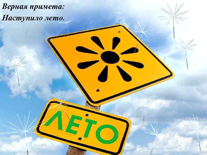 Верная примета: Наступило лето. 
