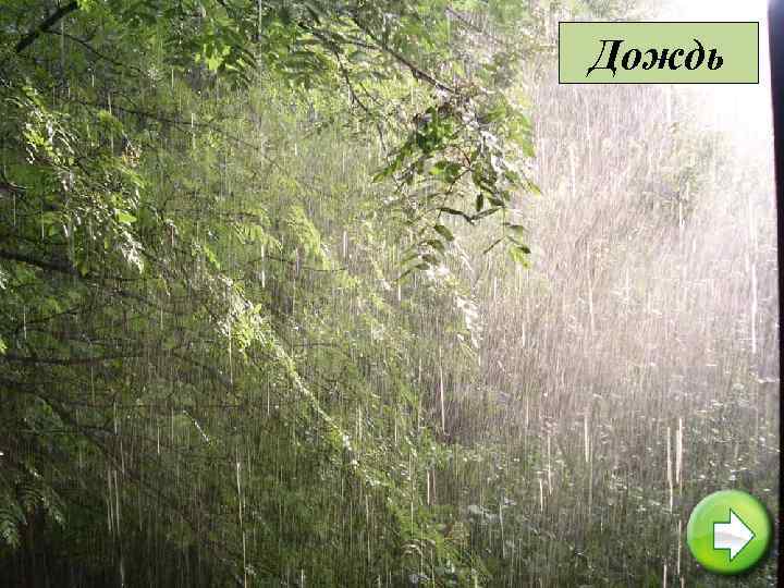 Дождь 