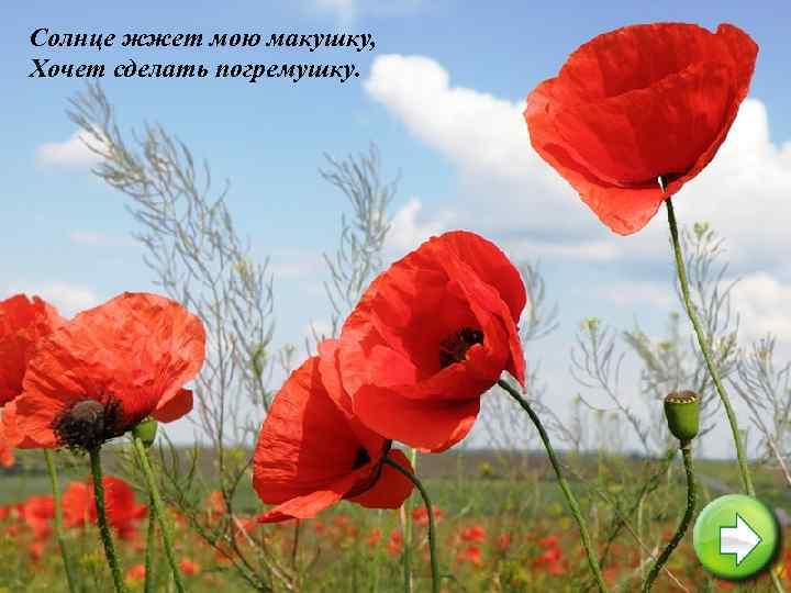 Солнце жжет мою макушку, Хочет сделать погремушку. 