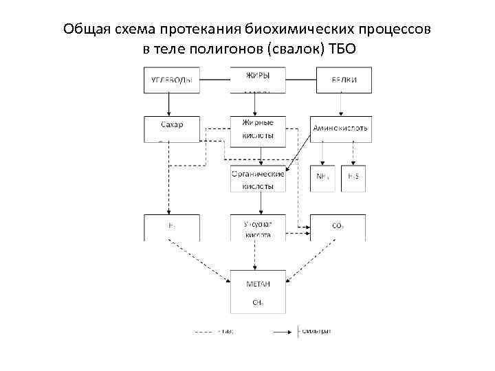 Схема протекания культурного шока - 97 фото