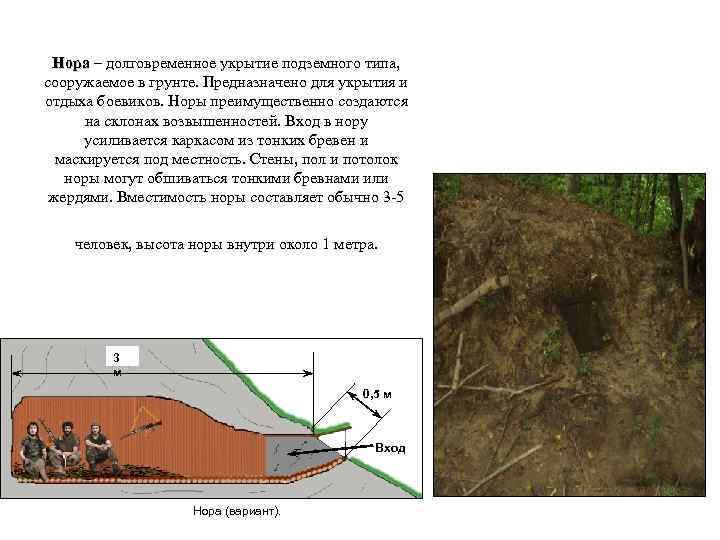 Нора – долговременное укрытие подземного типа, сооружаемое в грунте. Предназначено для укрытия и отдыха