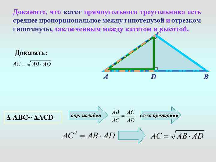 Катеты прям