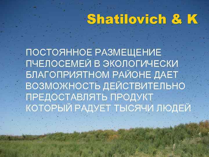 Shatilovich & K ПОСТОЯННОЕ РАЗМЕЩЕНИЕ ПЧЕЛОСЕМЕЙ В ЭКОЛОГИЧЕСКИ БЛАГОПРИЯТНОМ РАЙОНЕ ДАЕТ ВОЗМОЖНОСТЬ ДЕЙСТВИТЕЛЬНО ПРЕДОСТАВЛЯТЬ