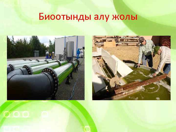 Биоотынды алу жолы 