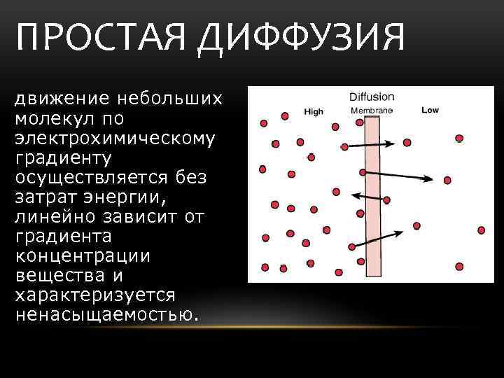 Самая маленькая молекула