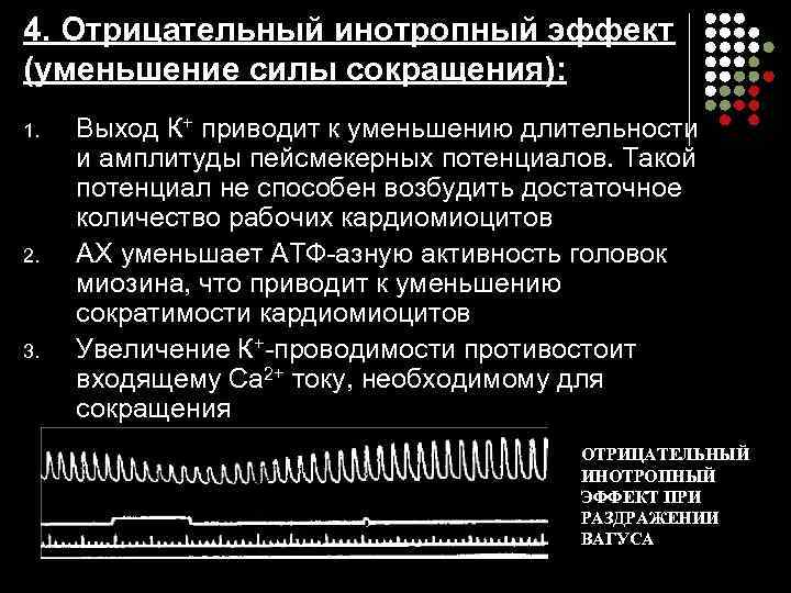 4. Отрицательный инотропный эффект (уменьшение силы сокращения): 1. 2. 3. Выход К+ приводит к