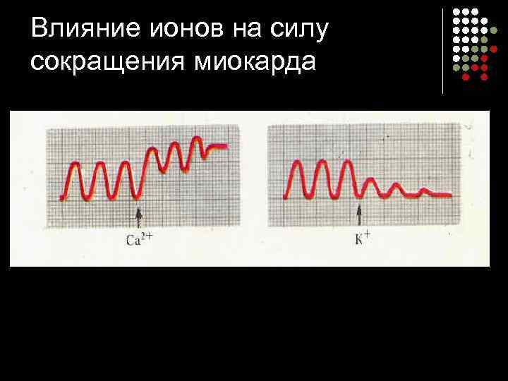 Влияние ионов на силу сокращения миокарда 