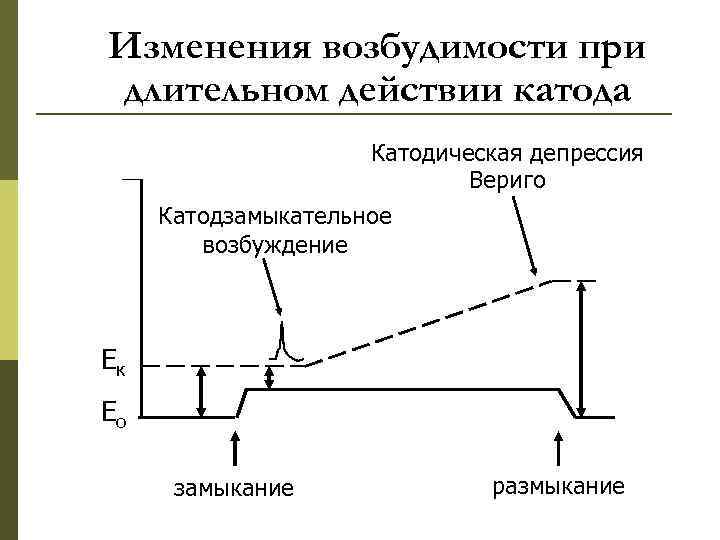 Изменения возбудимости при длительном действии катода Катодическая депрессия Вериго Катодзамыкательное возбуждение Ек Ео замыкание