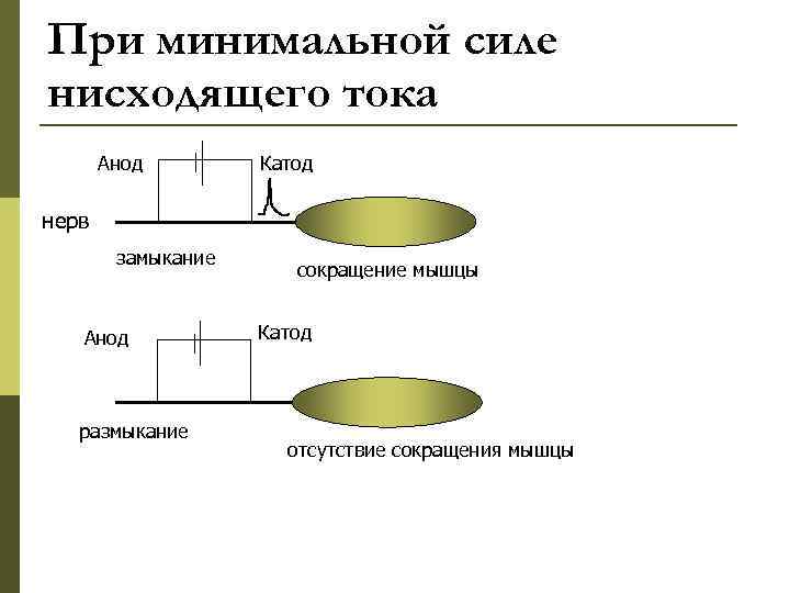 При минимальной силе нисходящего тока Анод Катод нерв замыкание Анод размыкание сокращение мышцы Катод