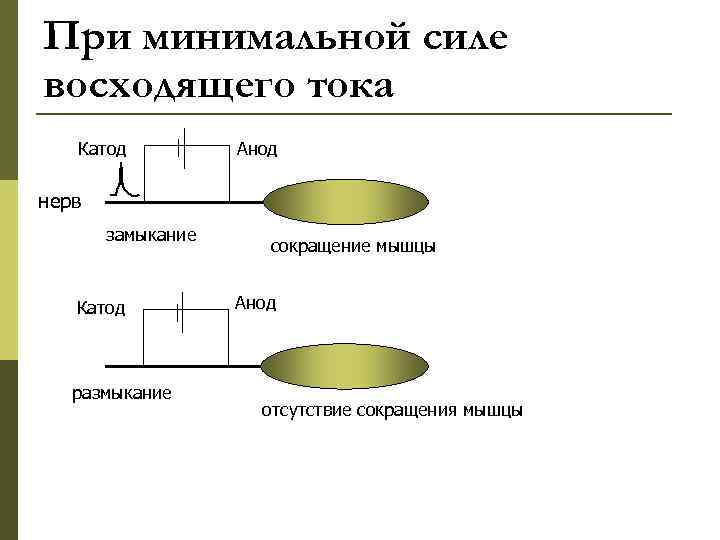 При минимальной силе восходящего тока Катод Анод нерв замыкание Катод размыкание сокращение мышцы Анод