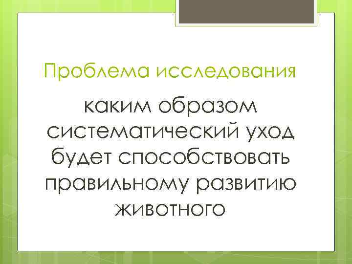 Проблема исследования каким образом систематический уход будет способствовать правильному развитию животного 