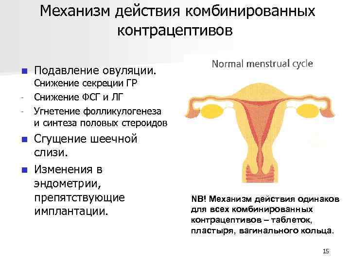 Механизм действия комбинированных контрацептивов n - Подавление овуляции. Снижение секреции ГР Снижение ФСГ и