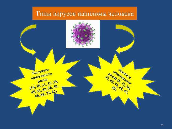 Типы вирусов папиломы человека ого ысок ого В енн нког а о риск 5,