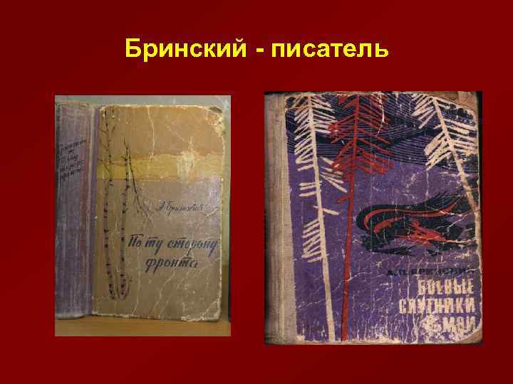 Бринский - писатель 