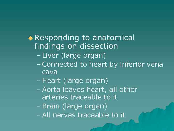 u Responding to anatomical findings on dissection – Liver (large organ) – Connected to