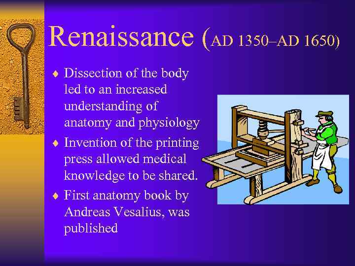 Renaissance (AD 1350–AD 1650) ¨ Dissection of the body led to an increased understanding