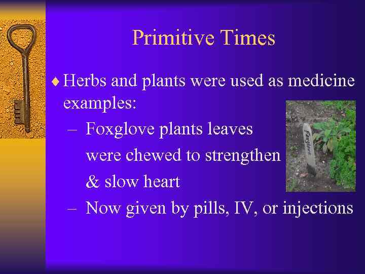 Primitive Times ¨ Herbs and plants were used as medicine examples: – Foxglove plants