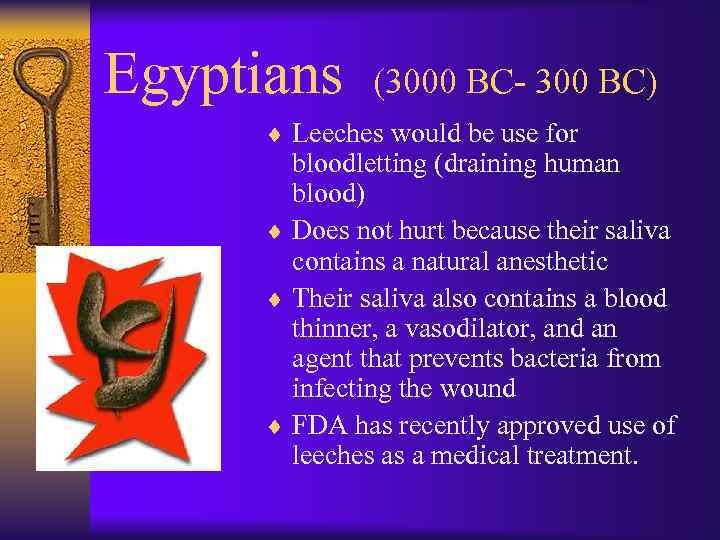 Egyptians (3000 BC- 300 BC) ¨ Leeches would be use for bloodletting (draining human