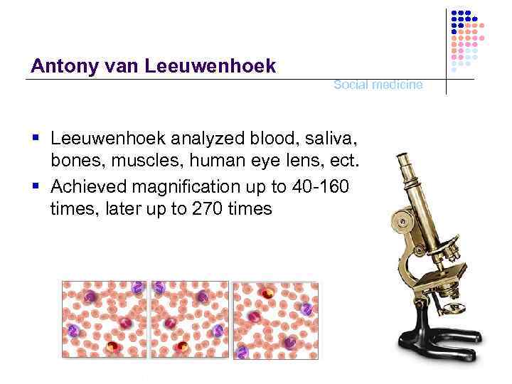 Antony van Leeuwenhoek Social medicine § Leeuwenhoek analyzed blood, saliva, bones, muscles, human eye