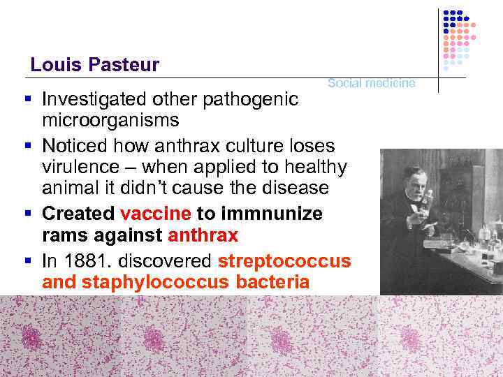 Louis Pasteur Social medicine § Investigated other pathogenic microorganisms § Noticed how anthrax culture