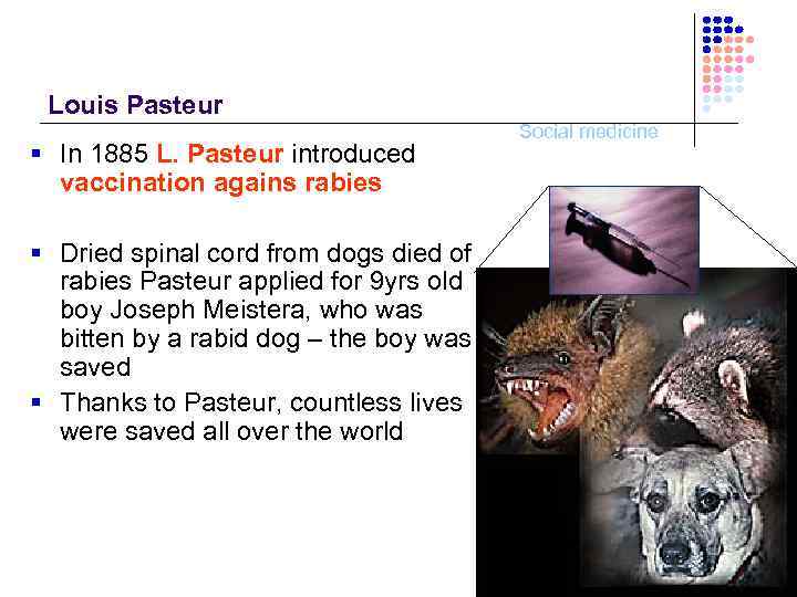 Louis Pasteur § In 1885 L. Pasteur introduced vaccination agains rabies § Dried spinal