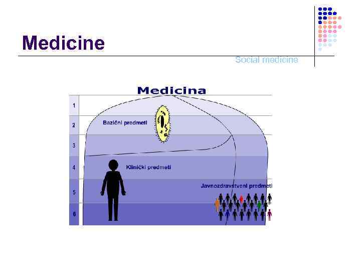 Medicine Social medicine 