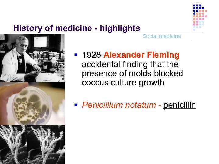 History of medicine - highlights Social medicine § 1928 Alexander Fleming accidental finding that