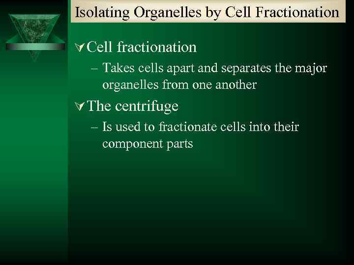 Isolating Organelles by Cell Fractionation Ú Cell fractionation – Takes cells apart and separates