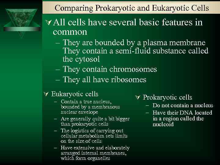 Comparing Prokaryotic and Eukaryotic Cells Ú All cells have several basic features in common