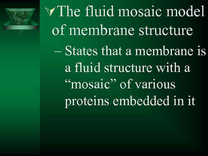 ÚThe fluid mosaic model of membrane structure – States that a membrane is a
