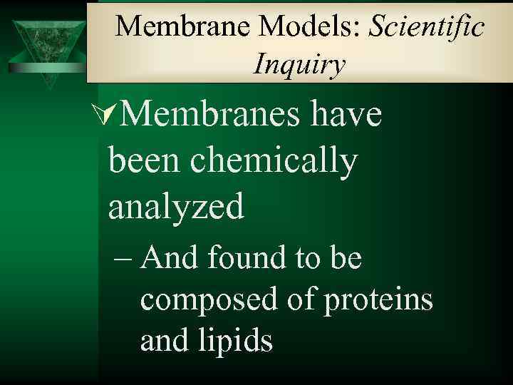 Membrane Models: Scientific Inquiry ÚMembranes have been chemically analyzed – And found to be