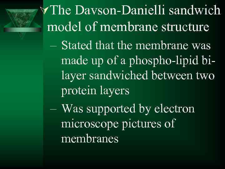 ÚThe Davson-Danielli sandwich model of membrane structure – Stated that the membrane was made