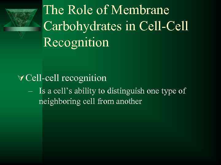 The Role of Membrane Carbohydrates in Cell-Cell Recognition Ú Cell-cell recognition – Is a