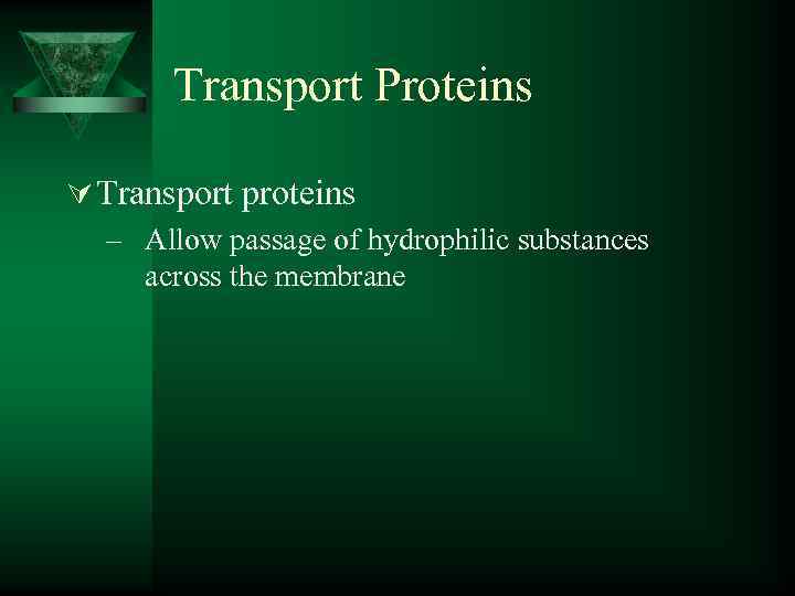 Transport Proteins Ú Transport proteins – Allow passage of hydrophilic substances across the membrane