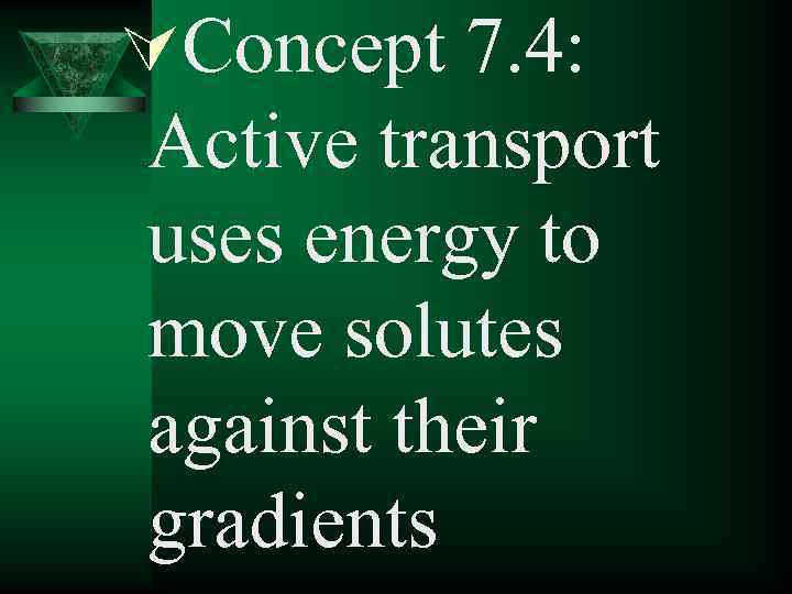 ÚConcept 7. 4: Active transport uses energy to move solutes against their gradients 