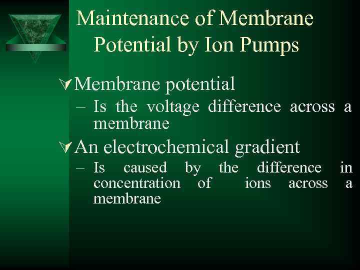 Maintenance of Membrane Potential by Ion Pumps ÚMembrane potential – Is the voltage difference