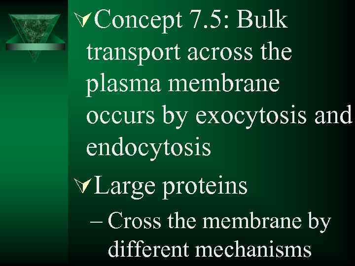 ÚConcept 7. 5: Bulk transport across the plasma membrane occurs by exocytosis and endocytosis