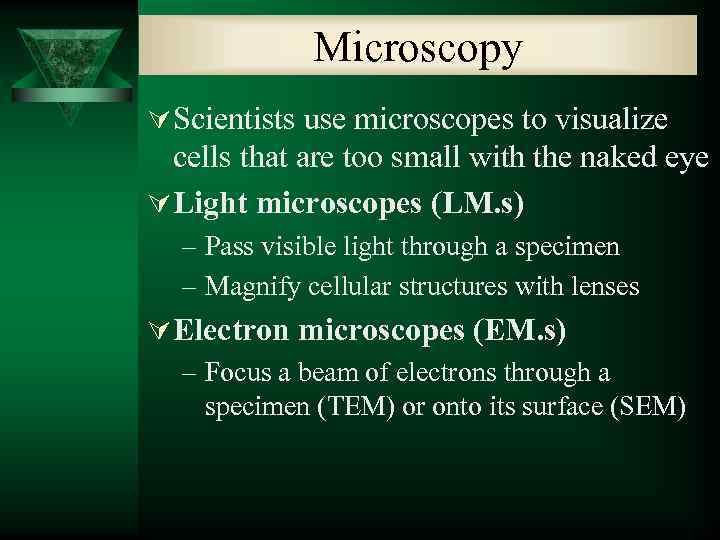 Microscopy Ú Scientists use microscopes to visualize cells that are too small with the
